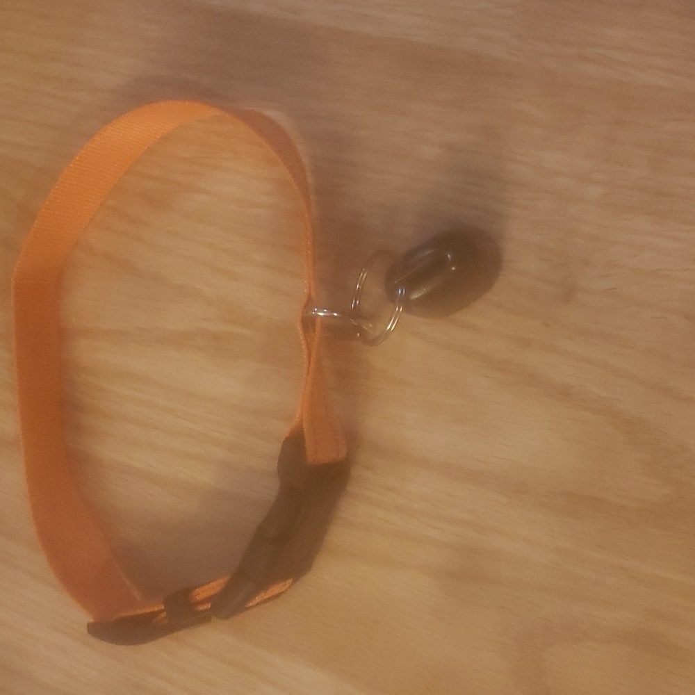 Dog collars